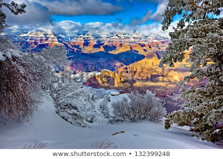 Stock fotó: View Into The Grand Canyon From Yaki Point South Rim