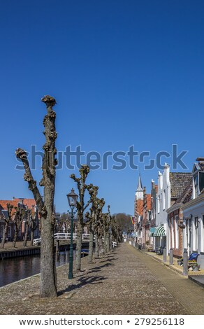 [[stock_photo]]: Trees Along The Central Canal In Historical Sloten