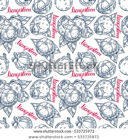 Foto stock: Mangosteen On White Background Vector Illustration