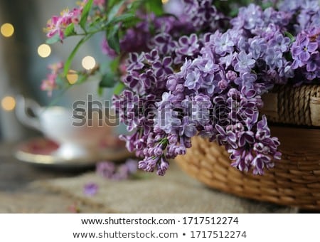 Stock photo: Fresh Lilac Flowers