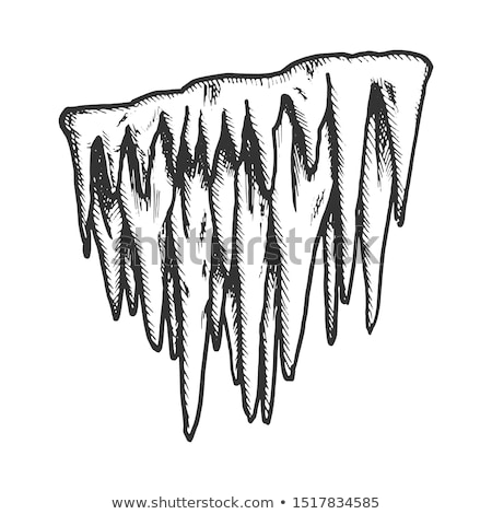 Foto stock: Icicle Stalactite Frost Element Monochrome Vector