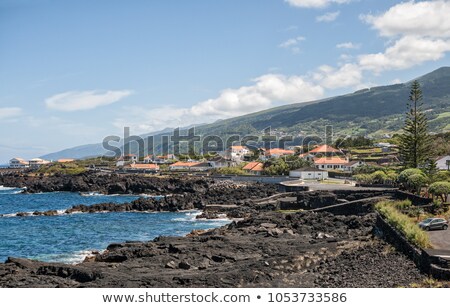 ストックフォト: Coastal Settlement At The Azores