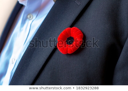 Stock foto: Remembrance Day Poppy On Suit