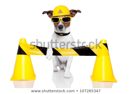 Zdjęcia stock: Under Construction Dog