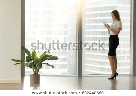 Stock fotó: Young Businesswoman With Cellphone And Organizer
