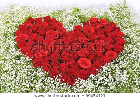 Stockfoto: Fresh Red Bouquet With Ribbon And Bow