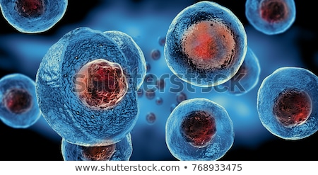 ストックフォト: Stem Cell Dna