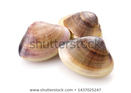 Foto stock: Mêijoas · frescas