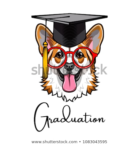 Vector Graduated Dog Pembroke Welsh Corgi Stockfoto © Khabarushka