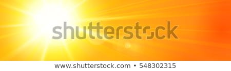 Sun Banner [[stock_photo]] © wenani