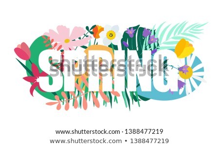 Foto stock: Tulip Flowers Garden In Spring Background Or Pattern