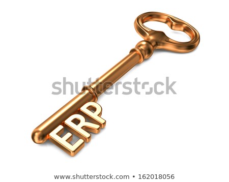 Erp - Golden Key Business Concept [[stock_photo]] © Tashatuvango