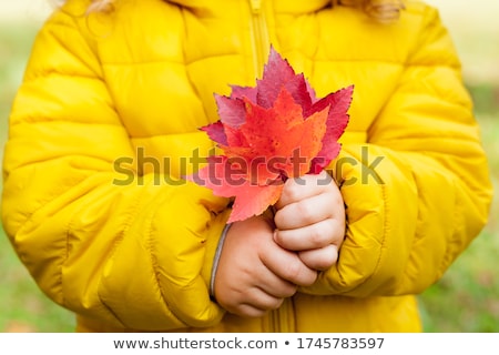 Stok fotoğraf: Little Girl Holding Autumn Leaves