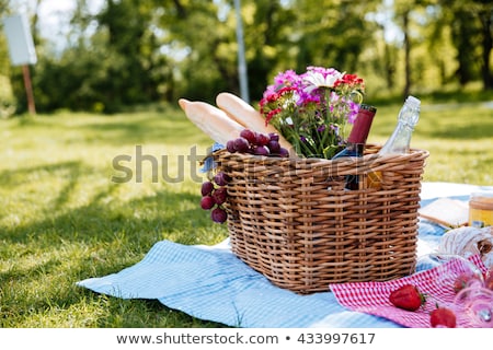 Foto d'archivio: Picnic Basket With Wine And Grape