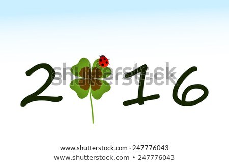 2016 Greeting Card With Shamrock Leaf And Ladybird Stock foto © dip