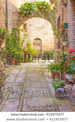 Plant In A Pot In An Ancient Town In Summer Stock fotó © Frank11