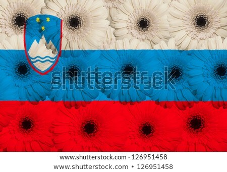 Stylized National Flag Of Slovenia With Gerbera Flowers [[stock_photo]] © vepar5