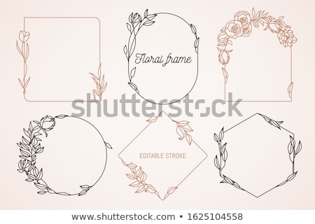Stock photo: Vector Illustration Set Square And Round Decorated Frame