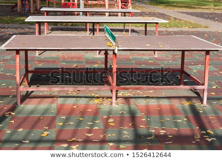 Stok fotoğraf: Sunflower Stretches Leaves To Sun At Day