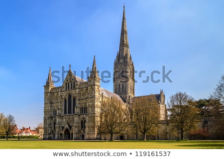 Salisbury Cathedral And Park On Sunny Day South England Zdjęcia stock © Bertl123