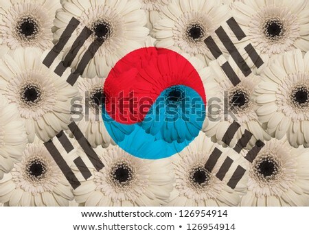 Stylized National Flag Of South Korea With Gerbera Flowers [[stock_photo]] © vepar5