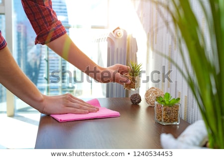 Stock photo: Housemaid Cleaning Furniture With Duster