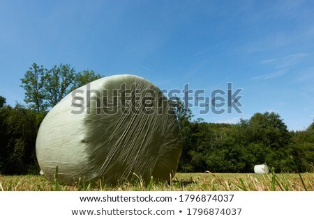Stock fotó: Bale Of Straw In Foil On Field With Blue Sky