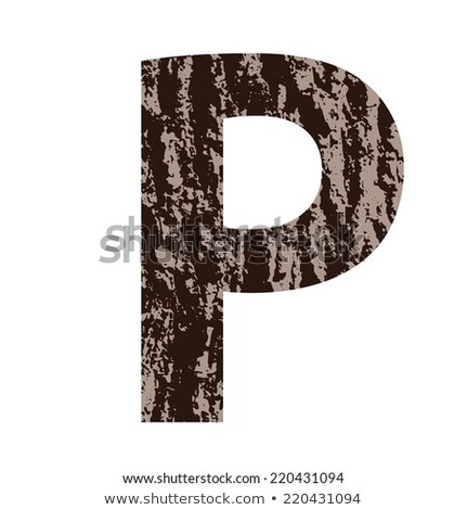 Letter P Made From Oak Bark Foto d'archivio © valeo5