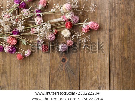 Stock photo: Vintage Brown Wood Background With Dry Leaves And Stems