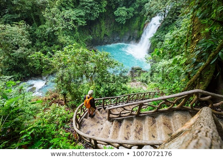 Foto stock: Costa Rica Jungle Beach