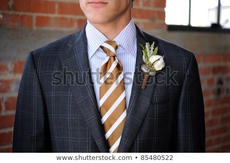 ストックフォト: Gray Plaid Suit With Tan Stripes And Boutonniere