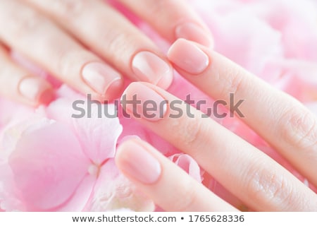 Сток-фото: Beautiful Hands With French Manicure