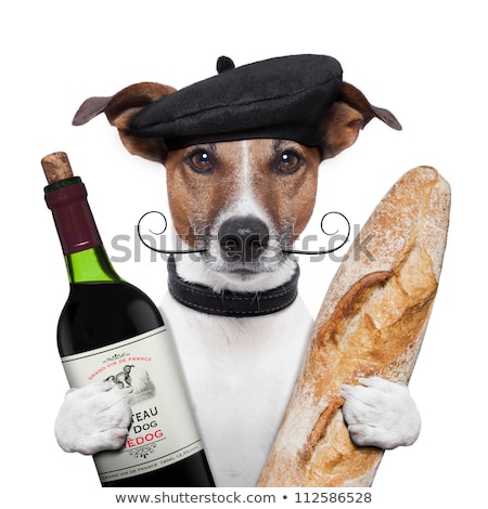 商業照片: French Dog Wine Baguette Beret