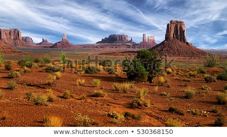 Zdjęcia stock: Death Valley Desert