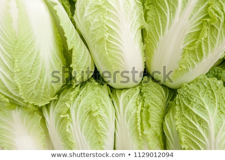 Stock fotó: Fresh Chinese Cabbage