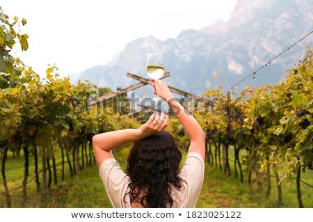 Stock photo: Young People In Vineyard