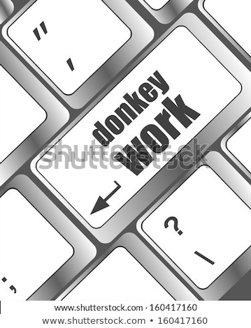 Donkey Work Button On Computer Keyboard Key Stockfoto © fotoscool