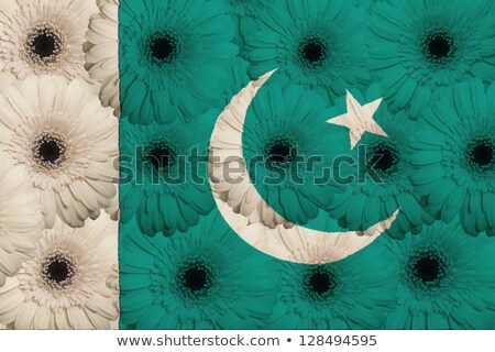 Stylized National Flag Of Pakistan With Gerbera Flowers [[stock_photo]] © vepar5