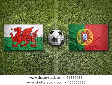 Wales Vs Portugal Flags On Soccer Field Stok fotoğraf © kb-photodesign