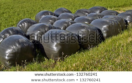 Сток-фото: Bale Of Straw In Autumn In Intensive Colors