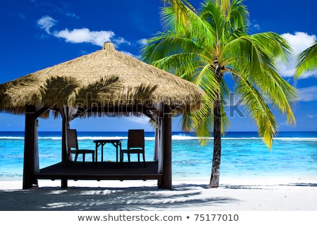 Imagine de stoc: Tropical Gazebo With Chairs On Amazing Beach