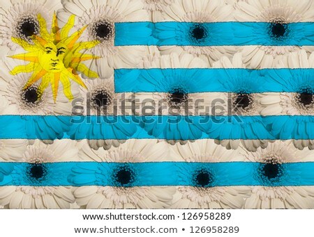 Stylized National Flag Of Uruguay With Gerbera Flowers [[stock_photo]] © vepar5