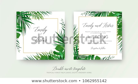 Stock photo: Tropical Leaves Border Isolated Green Palm Leaves