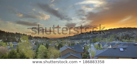 ストックフォト: Subdivisions Of Homes In Happy Valley Panorama