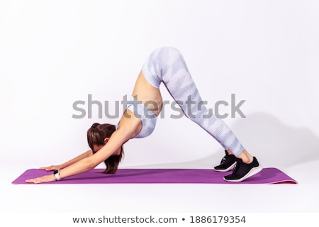 Zdjęcia stock: Dog With Woman Are Posing In Studio - Isolated On White Background