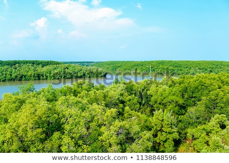 Stock fotó: Mountain And Mangrove Forest