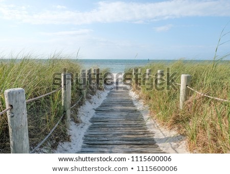 Stockfoto: Boardwalk