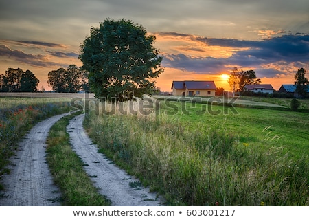 Stock foto: Beautiful Country Houses
