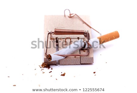 Mousetrap And Cigarette Stock fotó © pterwort