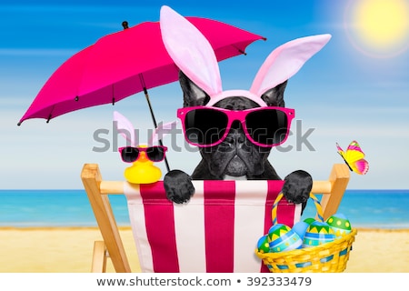 Foto stock: Vacation Easter Dog